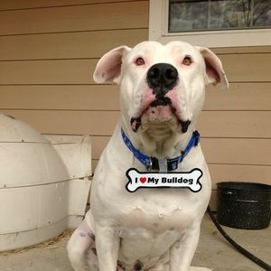 Meet your Posher, Sherri